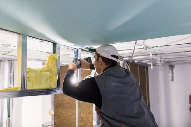 Best Insulation for New Construction  in Wilson, NC