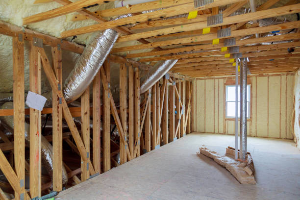 Best Cellulose Insulation  in Wilson, NC