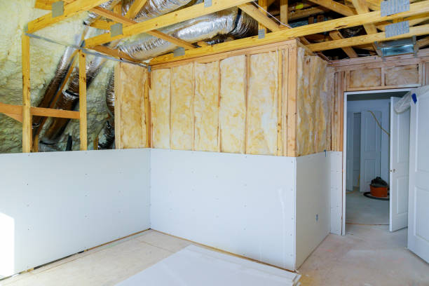 Best Energy-efficient Insulation  in Wilson, NC