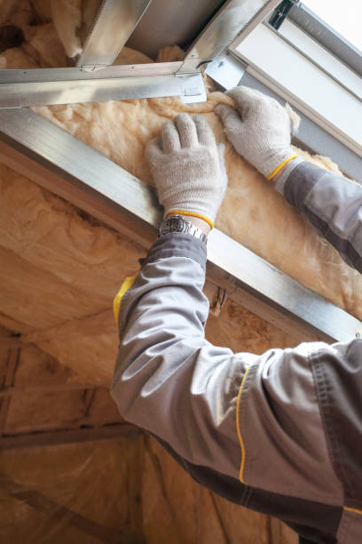 Best Insulation Inspection Services  in Wilson, NC