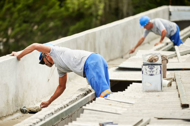 Best Wall Insulation Contractor  in Wilson, NC