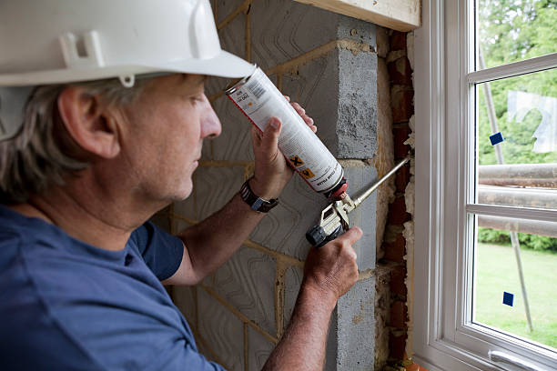 Best Home Insulation Services  in Wilson, NC