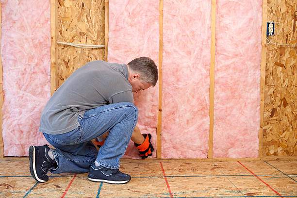 Insulation Replacement Services in Wilson, NC