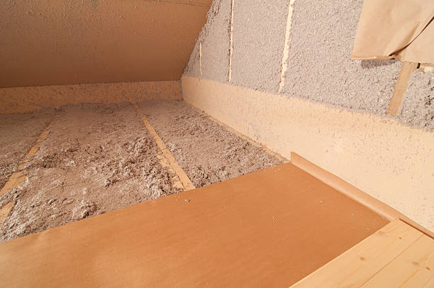 Best Insulation Removal Services  in Wilson, NC