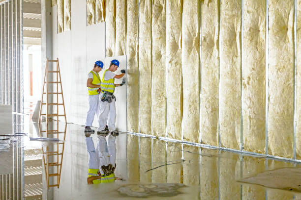 Best Affordable Insulation Services  in Wilson, NC